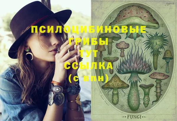 герыч Алексеевка